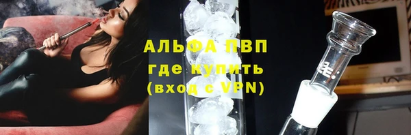 сатива Арсеньев