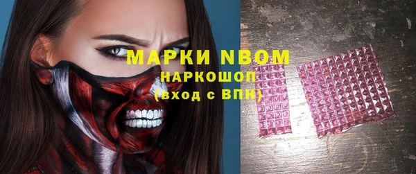 сатива Арсеньев