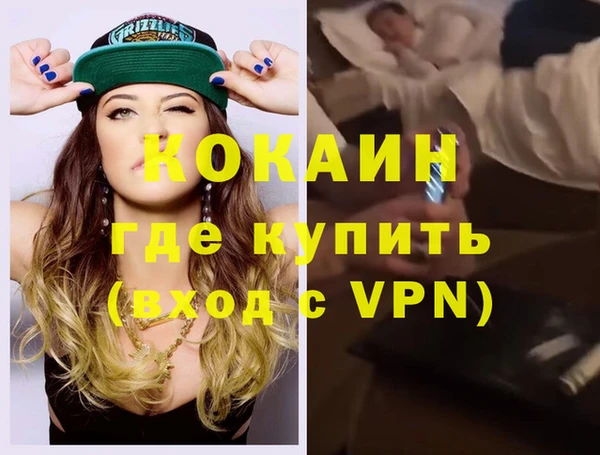 сатива Арсеньев
