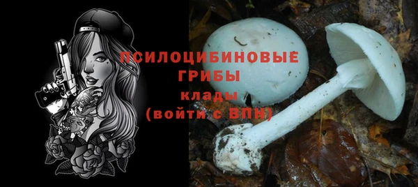 тгк Армянск